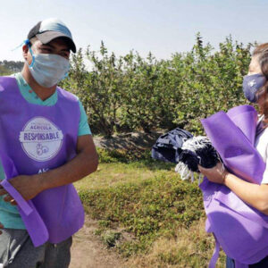 Piloting a system to prevent child labor in blueberry harvesting